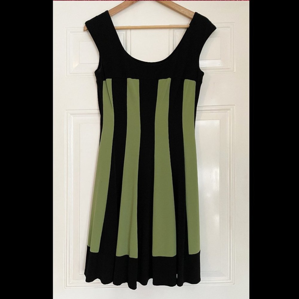 Black & Green Striped A-Line Dress